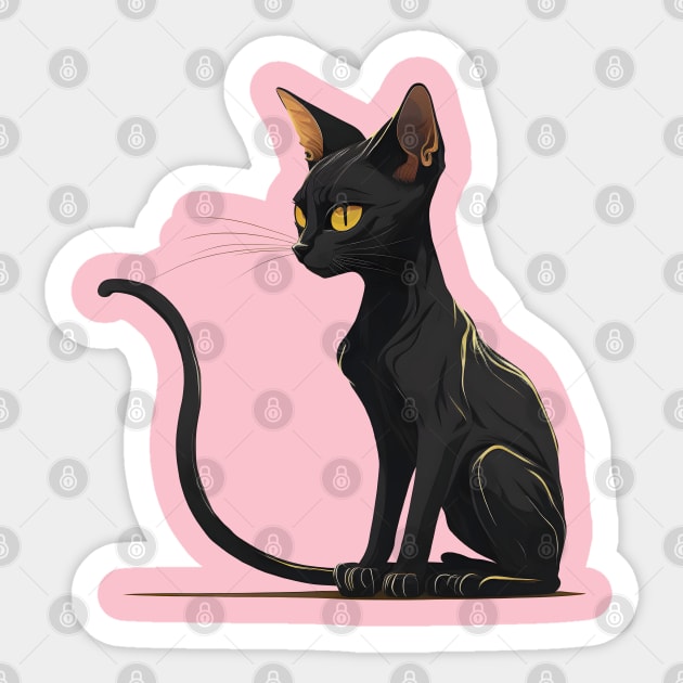 Black abyssinian cat 2025